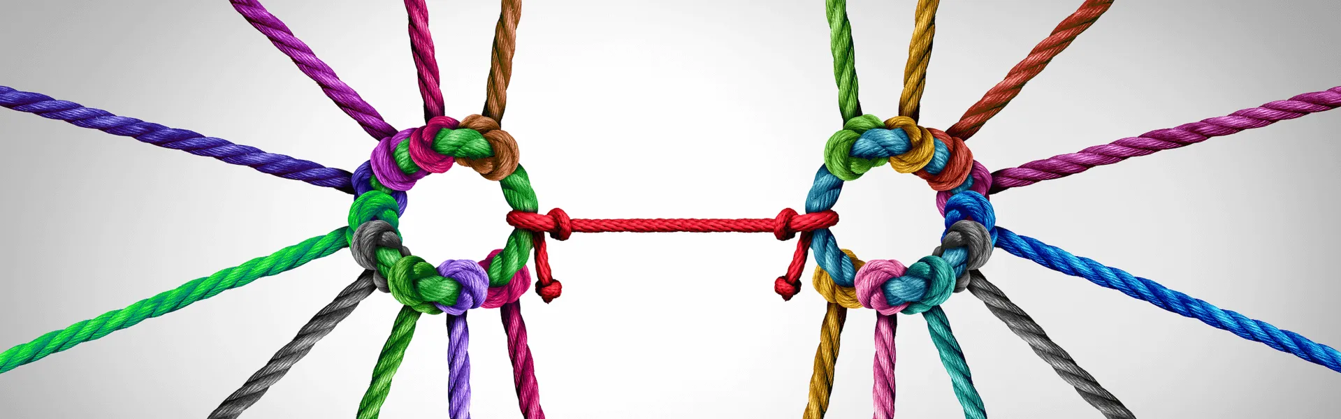 Several colorful ropes bind together in a circle.