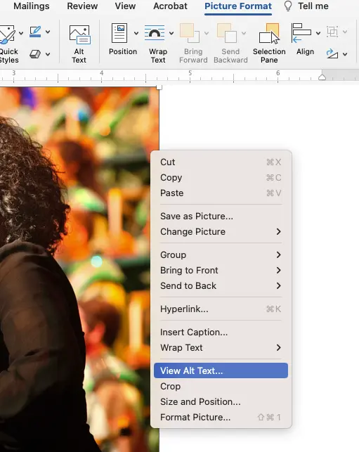 a word document with the 'view alt text' option highlighted